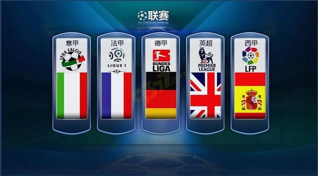 军和国内杯
